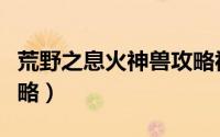 荒野之息火神兽攻略视频（荒野之息火神兽攻略）