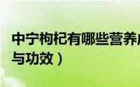 中宁枸杞有哪些营养成分（中宁枸杞子的作用与功效）