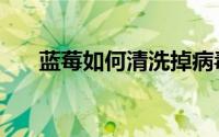 蓝莓如何清洗掉病毒（蓝莓如何清洗）