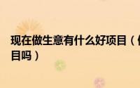 现在做生意有什么好项目（做什么生意能赚钱有什么好的项目吗）