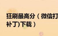狂刷最高分（微信打飞机无敌软件(无敌模式补丁)下载）