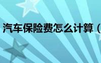 汽车保险费怎么计算（汽车保险费怎么计算）