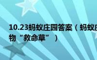 10.23蚂蚁庄园答案（蚂蚁庄园22.3.12答案_冬季雪封时动物“救命草”）