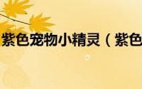 紫色宠物小精灵（紫色小精灵攻略[1]第一关）