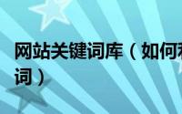 网站关键词库（如何利用词库网挖掘长尾关键词）