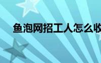 鱼泡网招工人怎么收费（鱼泡网招工人）
