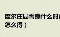 摩尔庄园雪獭什么时间钓得到（摩尔庄园雪獭怎么得）