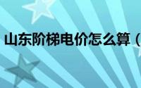 山东阶梯电价怎么算（山东阶梯电价怎么算）