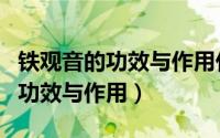 铁观音的功效与作用什么人不能喝（铁观音的功效与作用）