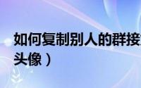 如何复制别人的群接龙（如何复制别人的QQ头像）