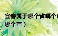 宜春属于哪个省哪个市地图（宜春属于哪个省哪个市）