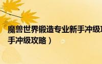 魔兽世界锻造专业新手冲级攻略视频（魔兽世界锻造专业新手冲级攻略）