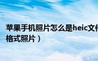 苹果手机照片怎么是heic文件（如何在电脑上打开苹果HEIC格式照片）