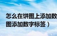怎么在饼图上添加数字（excel表格如何给饼图添加数字标签）