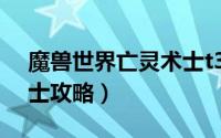 魔兽世界亡灵术士t3套装（魔兽世界亡灵术士攻略）