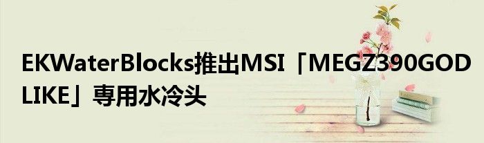 EKWaterBlocks推出MSI「MEGZ390GODLIKE」専用水冷头