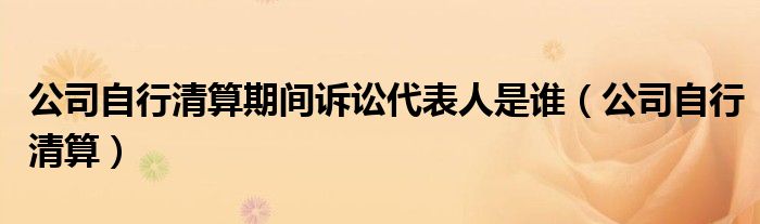 公司自行清算期间诉讼代表人是谁（公司自行清算）