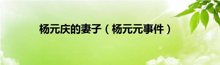 杨元庆的妻子（杨元元事件）