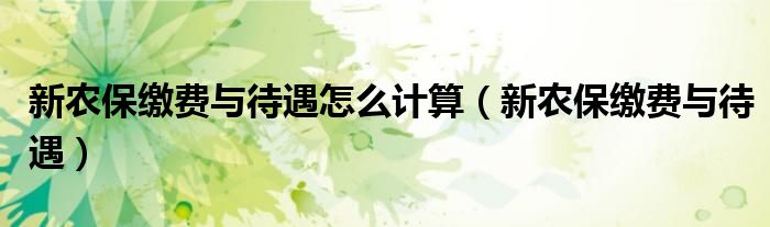 新农保缴费与待遇怎么计算（新农保缴费与待遇）