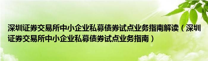 深圳证券交易所中小企业私募债券试点业务指南解读（深圳证券交易所中小企业私募债券试点业务指南）