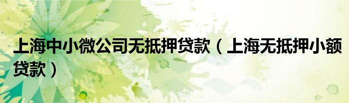 上海中小微公司无抵押贷款（上海无抵押小额贷款）