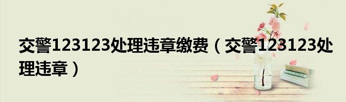 交警123123处理违章缴费（交警123123处理违章）