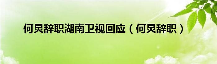 何炅辞职湖南卫视回应（何炅辞职）