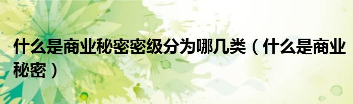 什么是商业秘密密级分为哪几类（什么是商业秘密）