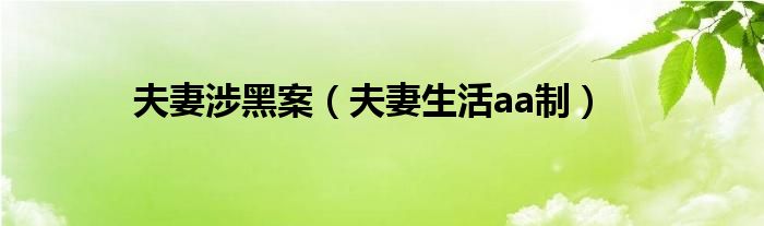 夫妻涉黑案（夫妻生活aa制）