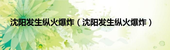 沈阳发生纵火爆炸（沈阳发生纵火爆炸）