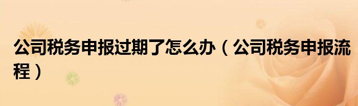 公司税务申报过期了怎么办（公司税务申报流程）