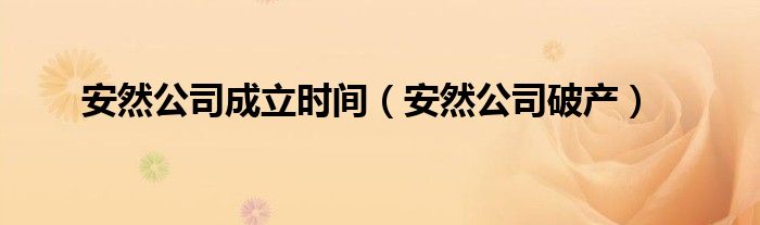 安然公司成立时间（安然公司破产）
