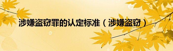 涉嫌盗窃罪的认定标准（涉嫌盗窃）