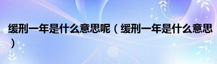 缓刑一年是什么意思呢（缓刑一年是什么意思）