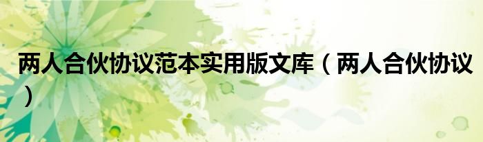 两人合伙协议范本实用版文库（两人合伙协议）