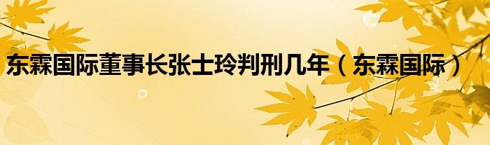 东霖国际董事长张士玲判刑几年（东霖国际）