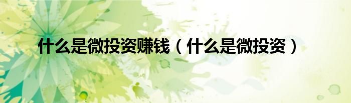 什么是微投资赚钱（什么是微投资）