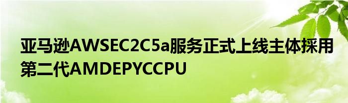亚马逊AWSEC2C5a服务正式上线主体採用第二代AMDEPYCCPU