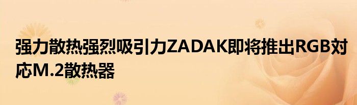 强力散热强烈吸引力ZADAK即将推出RGB対応M.2散热器
