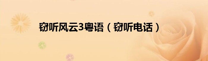 窃听风云3粤语（窃听电话）