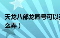 天龙八部龙园号可以买吗（天龙八部龙园号怎么弄）