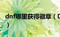 dnf哪里获得徽章（DNF荣誉侦探徽章怎么用）