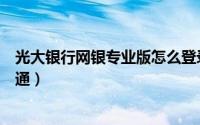 光大银行网银专业版怎么登录（光大银行网银专业版怎么开通）