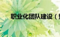 职业化团队建设（如何团队职业化呢）