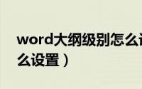 word大纲级别怎么设置（word大纲级别怎么设置）