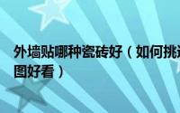 外墙贴哪种瓷砖好（如何挑选外墙砖品牌怎么样的外墙砖贴图好看）