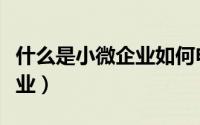 什么是小微企业如何申请贷款（什么是小微企业）