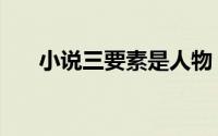 小说三要素是人物（小说三要素要点）