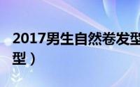 2017男生自然卷发型设计图（2017男生潮发型）