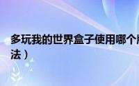 多玩我的世界盒子使用哪个版本（多玩我的世界盒子使用方法）